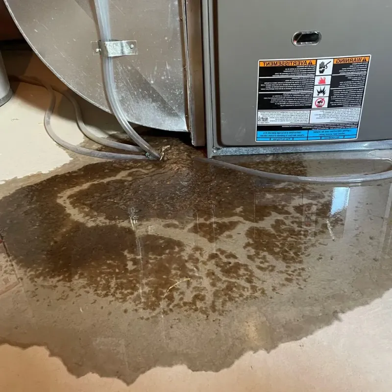 Pipe Burst and Leak Restoration in Richmond County, GA